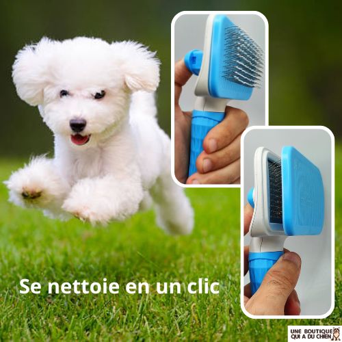 brosse-pour-chien-autonettoyante