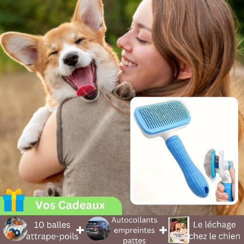 brosse-pour-chien-bleue-carde