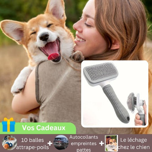 brosse-pour-chien-grise-carde