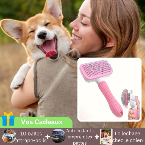 brosse-pour-chien-rose-carde