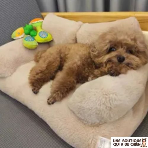 canapé-pour-chien-beige