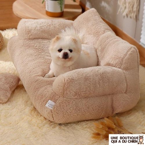 canape-pour-chien-moyen-doux