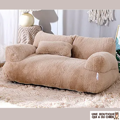 canapé-pour-chien-design-