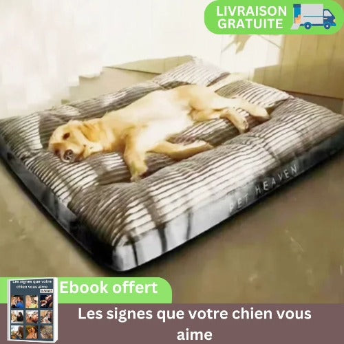 coussin-pour-chien-gris-confortable