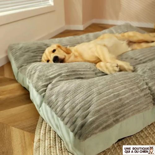 coussin-pour-chien-maintien-confort