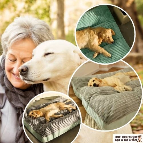 coussin-pour-chien-moelleux-confortable