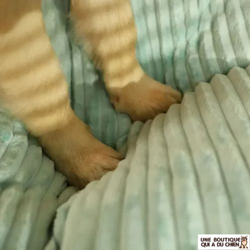 coussin-pour-chien-moelleux-epais