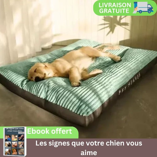 coussin-pour-chien-vert-confortable