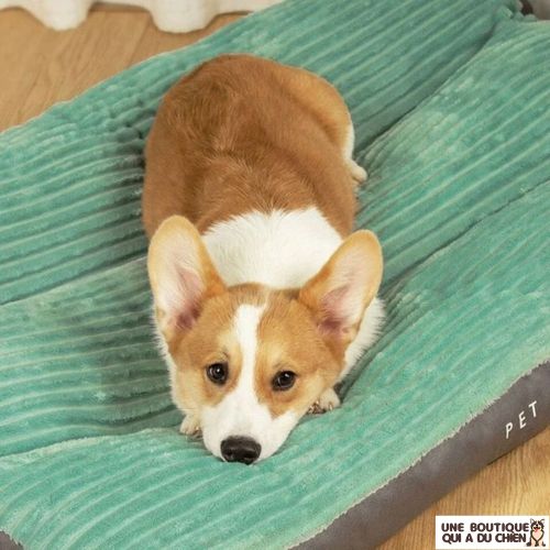 coussin-pour-chien-vert-douceur