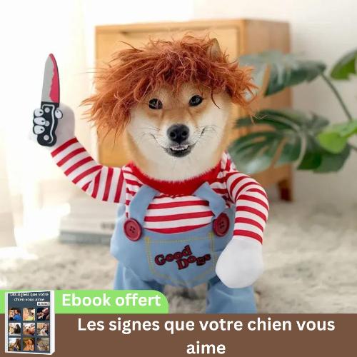 déguisement-chien-halloween-chucky-tueur