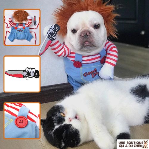 déguisement-chien-halloween-costume-tailles-