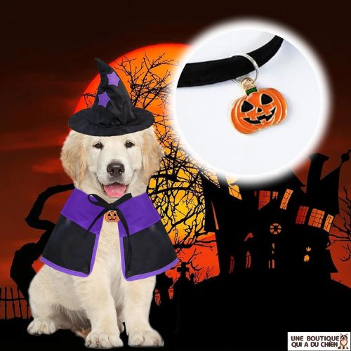 déguisement-chien-halloween-léger-costume