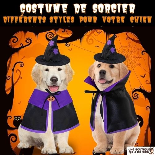 déguisement-chien-halloween-sorcier-tailles