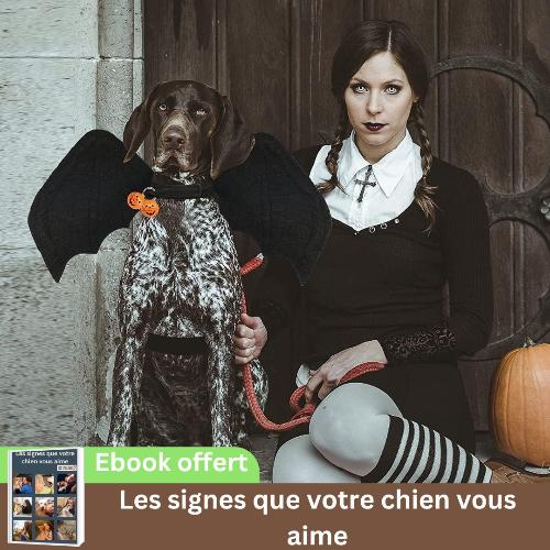 dĂ©guisement-chien-halloween-vampire-fĂȘte