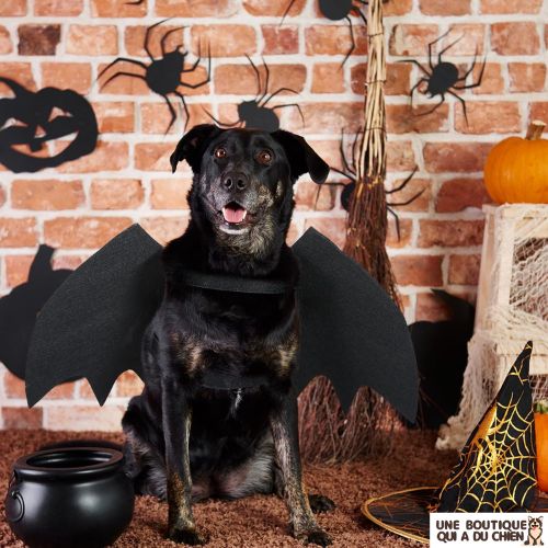 deguisement-chien-halloween-vampire-original