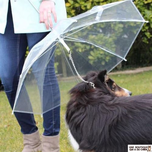 laisse-chien-parapluie-facile-mousqueton