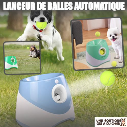 lanceur-de-balle-pour-chien-extérieur-intérieur