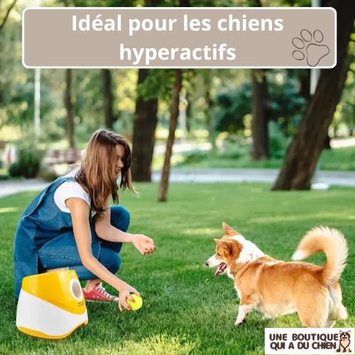 lanceur-de-balle-pour-chien-hyperactif