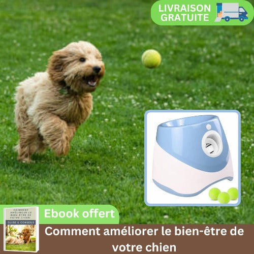 lanceur-de-balle-pour-chien-interactif