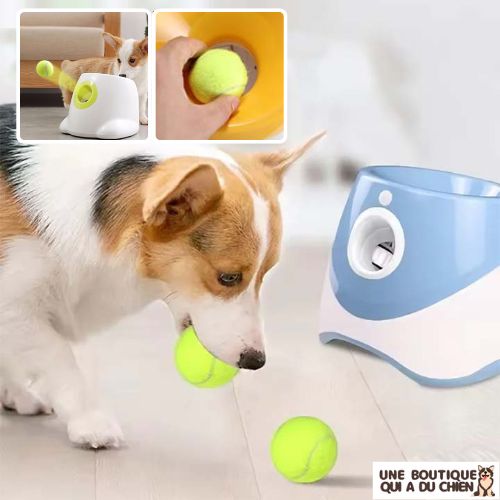 lanceur-de-balle-pour-chien-jeu