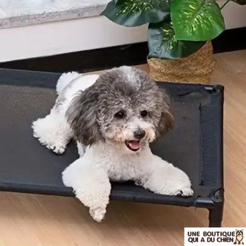 lit-de-camp-pour-chien-maintien