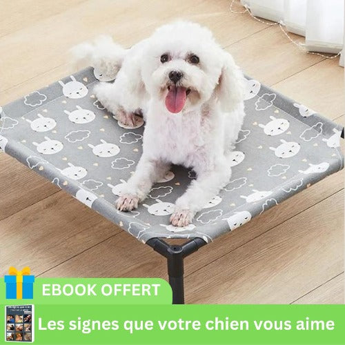 lit-de-camp-pour-chien-respirant-leger