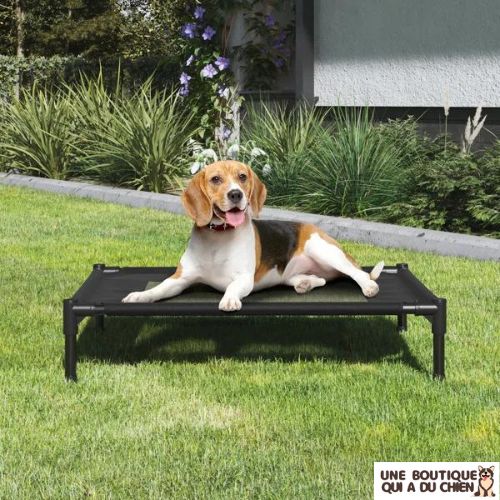 lit-de-camp-pour-chien-soutien