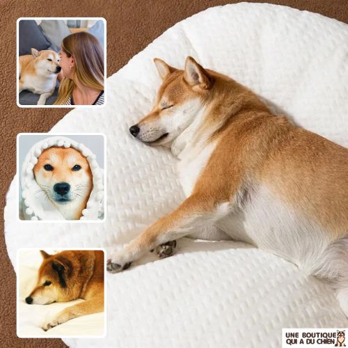 panier-chien-déhoussable-antistress