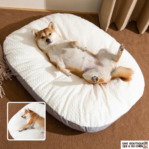 panier-chien-doux-confort