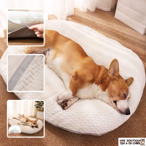 panier-chien-molleton-lavable