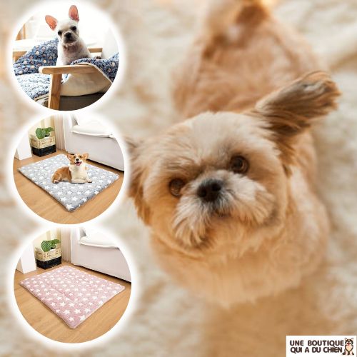 tapis-pour-chien-etoiles-confortable