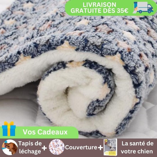 tapis-pour-chien-gris-etoiles