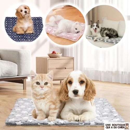 tapis-pour-chien-qualité-chaud