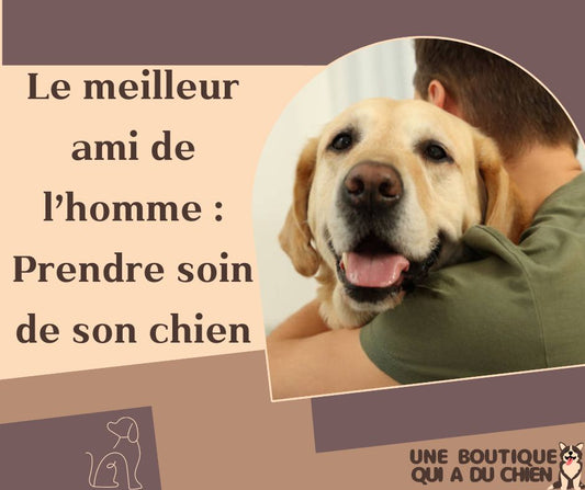 Le meilleur ami de l'homme : prendre soin de son chien