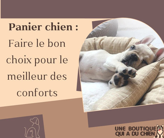 panier-chien-confort-choix