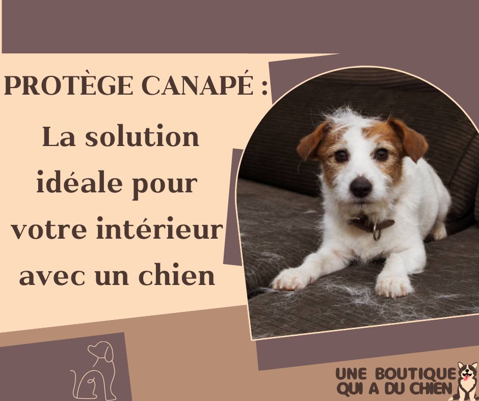 protege-canape-animaux-solution