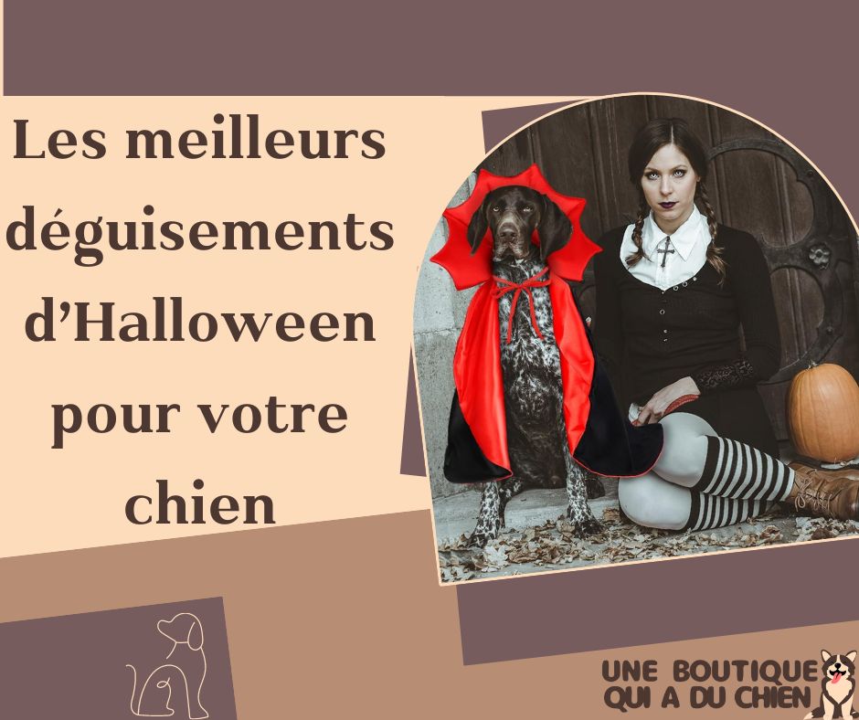 déguisement-chien-halloween-vampire