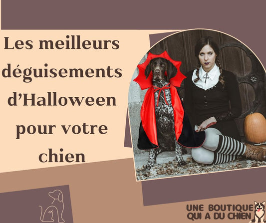 déguisement-chien-halloween-vampire