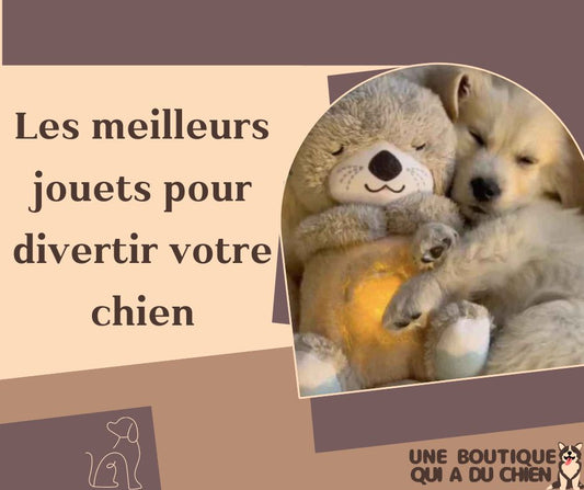 jouet-pour-chien-peluche-épanouissement