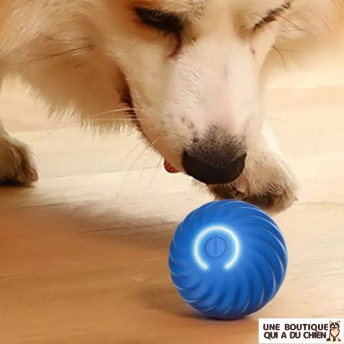 jouet-pour-chien-jouet-chien-balle-interactif