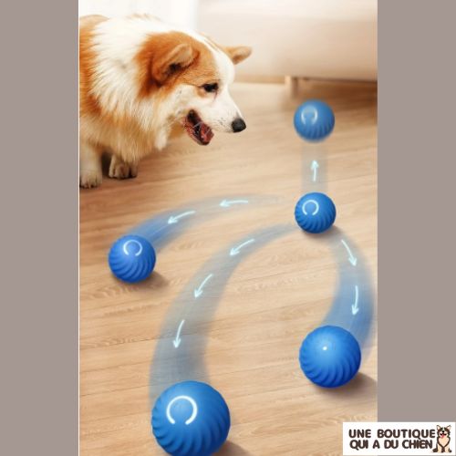 jouet-pour-chien-balle-interactif