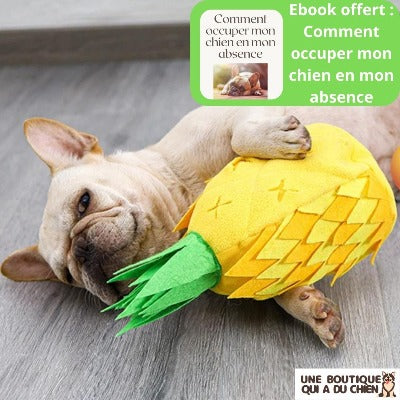 jouet-pour-chien-croquettes