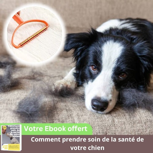 brosse-anti-poil-chien-orange