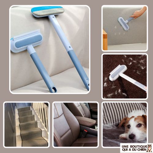 brosse-anti-poil-hygiene-animaux