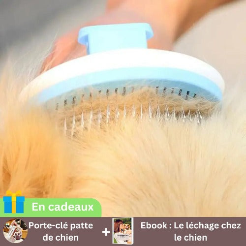 brosse-pour-chien-bleu-poussoir