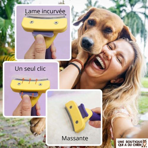 brosse-pour-chien-démêlante-sécurité