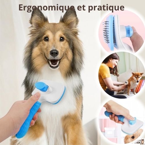 brosse-pour-chien-facile-ergonomique