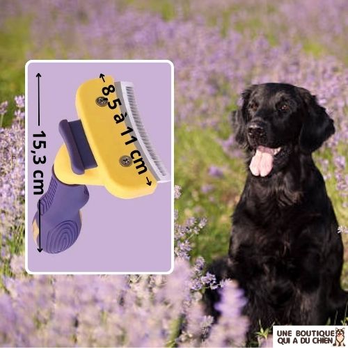 BROSSE POUR CHIEN - FEEBY™