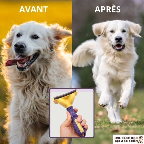 brosse-pour-chien-long-poil