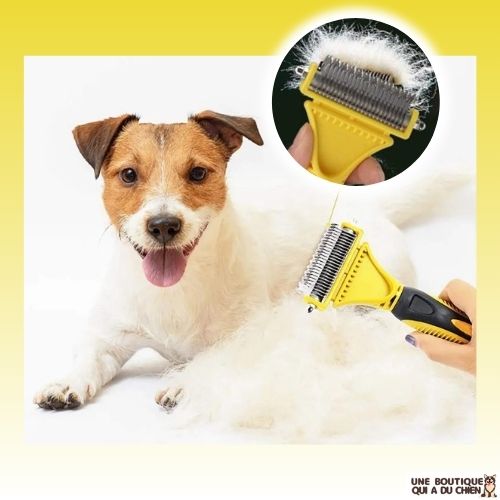 brosse-pour-chien-poil-court